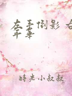 左手倒影 右手年华