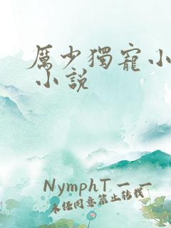 厉少独宠小娇妻 小说