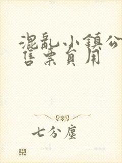 混乱小镇公交车售票员用