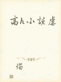 高h小说虐