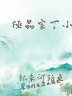 极品家丁小说