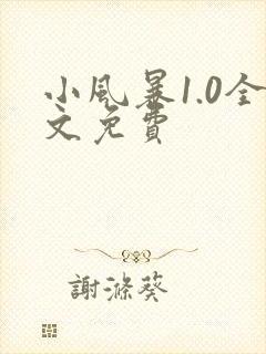小风暴1.0全文免费