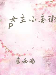 女主小妾卫府NP