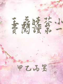 王磊晓芬小说免费阅读第一章