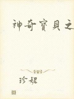 神奇宝贝之一辉