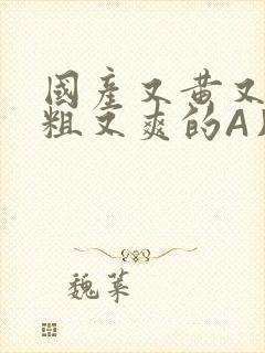 国产又黄又猛又粗又爽的A片小说