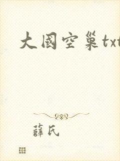大国空巢txt