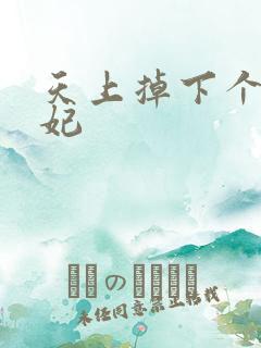 天上掉下个奇王妃