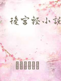 后宫轻小说