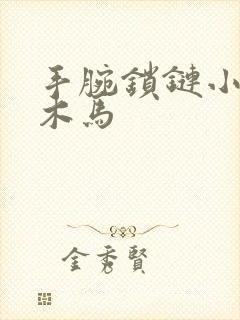 手腕锁链小黑屋木马