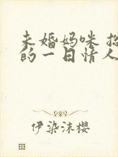 未婚妈咪 总裁的一日情人