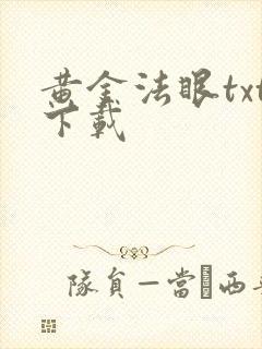 黄金法眼txt下载