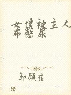 女仆被主人用胶布憋尿