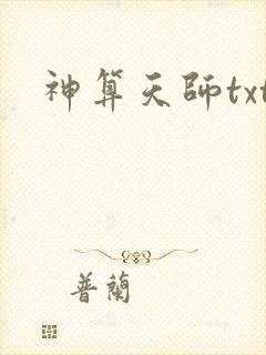 神算天师txt