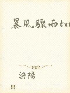 暴风骤雨txt