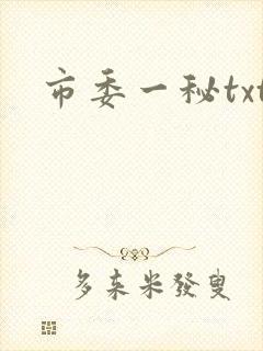 市委一秘txt