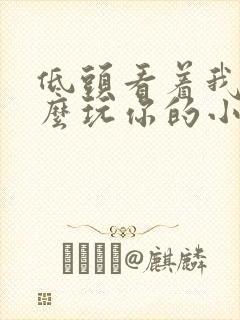 低头看着我是怎么玩你的小说