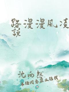 路漫漫风凌轩小说