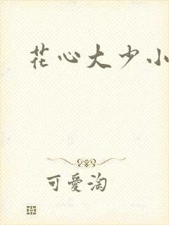 花心大少小说