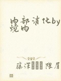 内部消化by红烧肉