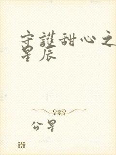 守护甜心之暗夜星辰