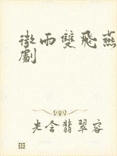 微雨双飞燕电视剧