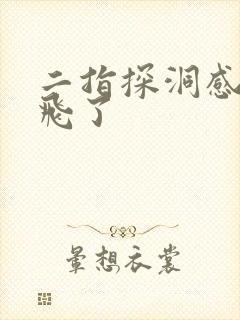 二指探洞感觉要飞了