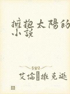 拥抱太阳的月亮小说