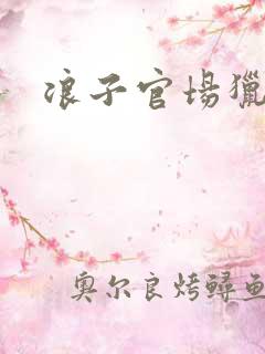 浪子官场猎艳记