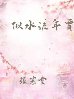 似水流年贾二虎