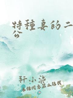 特种妻的二手老公