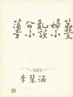 荡公乱妇第51章小说小莹