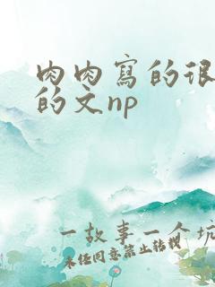 肉肉写的很细致的文np