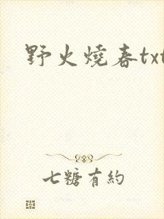 野火烧春txt