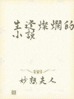 生逢灿烂的日子小说