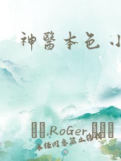 神医本色 小说