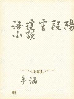 洛琼霄段阳澍的小说