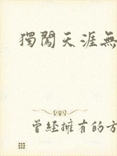 独闯天涯无弹窗