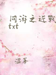 网游之近战法师txt