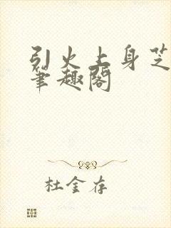 引火上身芝麻糖笔趣阁