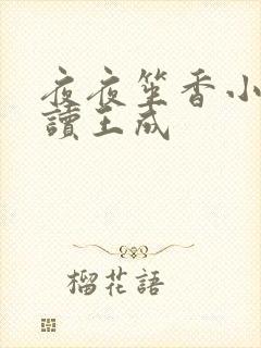 夜夜笙香小说阅读王成