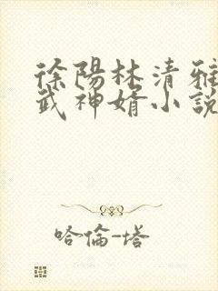 徐阳林清雅绝世武神婿小说