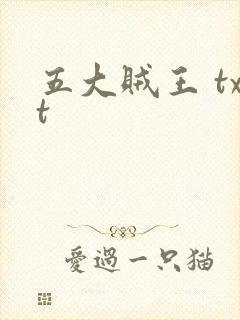 五大贼王 txt