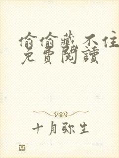 偷偷藏不住小说免费阅读