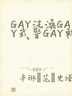 GAY洗澡GAY武警GAY软件