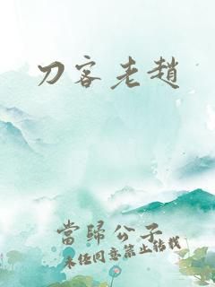 刀客老赵