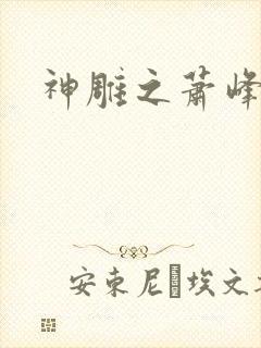 神雕之萧峰后人