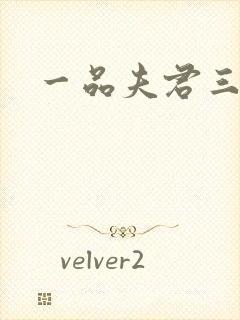 一品夫君三流妻