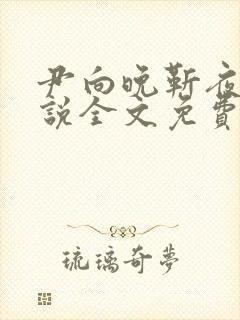 尹向晚靳夜擎小说全文免费阅读无弹窗