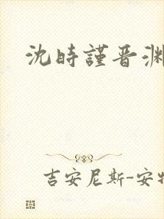 沈时谨晋渊小说